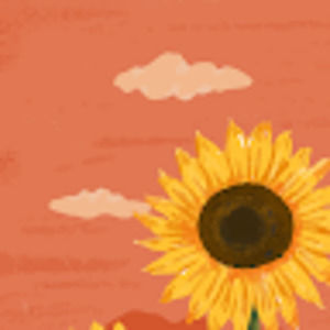 Meet your Posher, Andreina